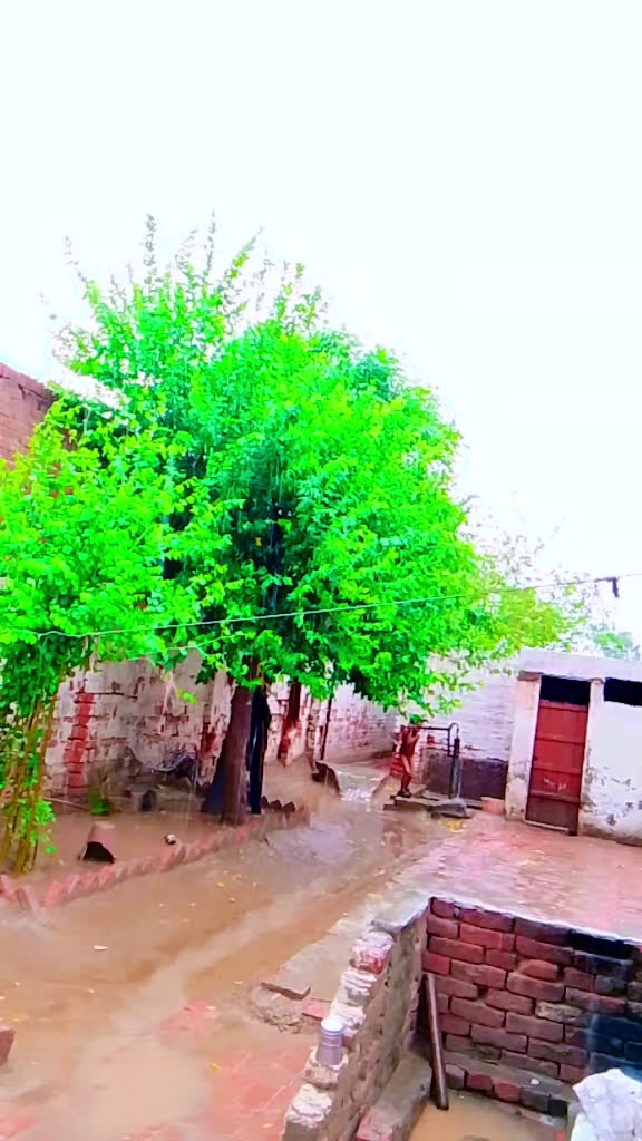 @Akhtarjaan72