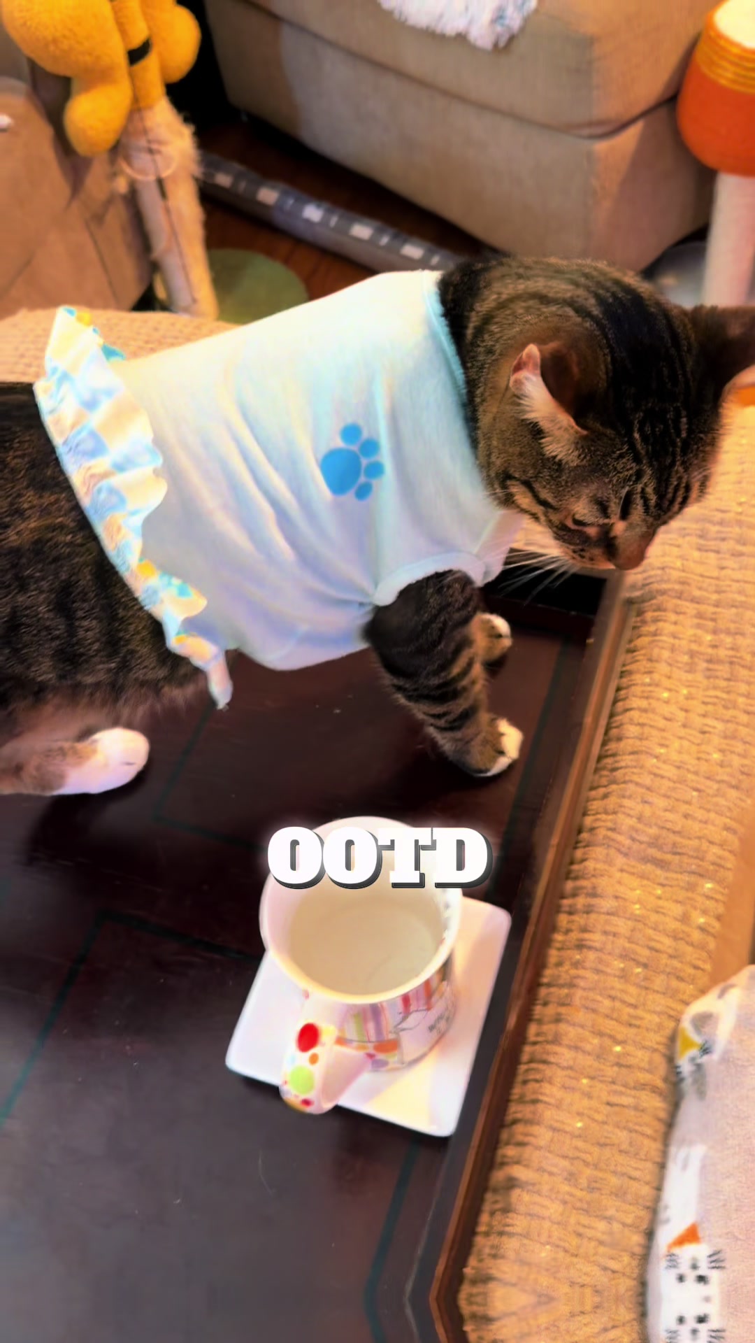 @KittKat❌🐾