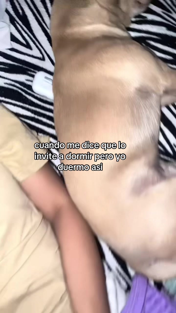 @NAOMI LP