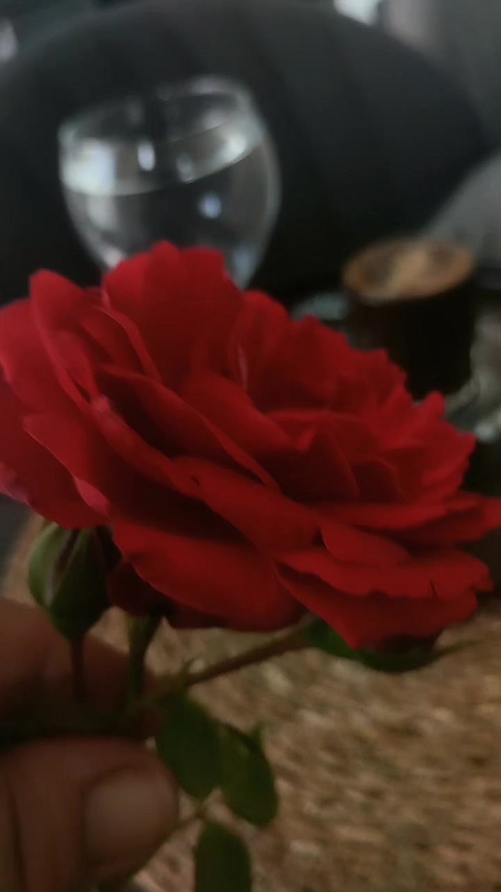 @🖤🌹🕊sbl03🖤🌹🕊