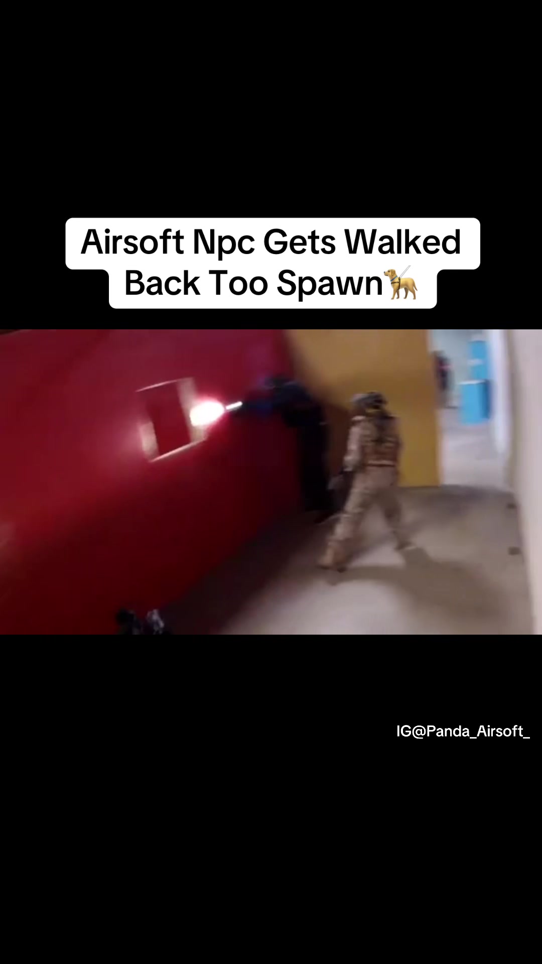 @Panda_Airsoft_