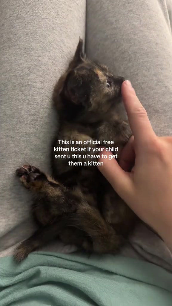 @sophiaforealztiktok