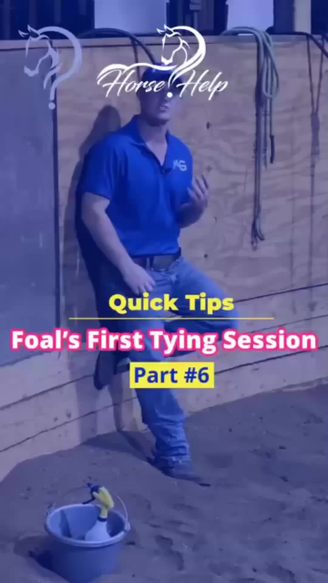 @Horse Help