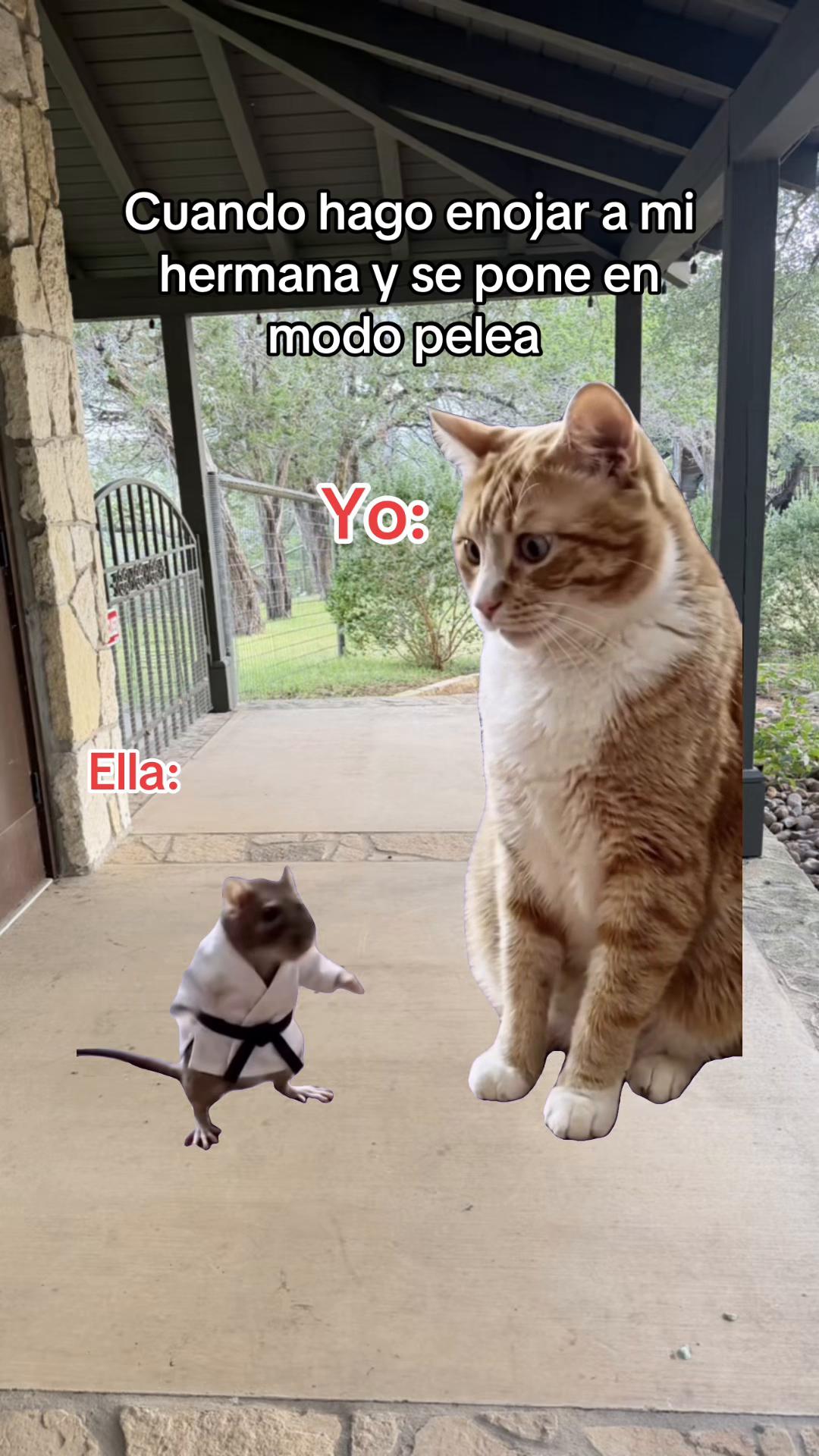 @El Trevol