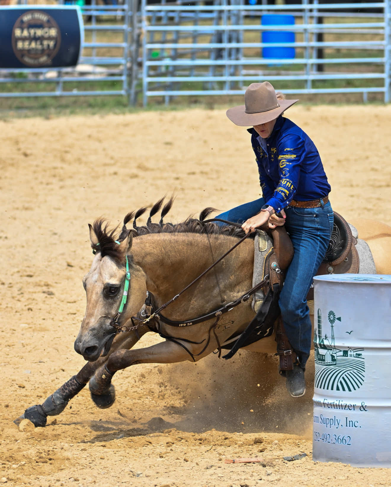 @KY Performance Horses