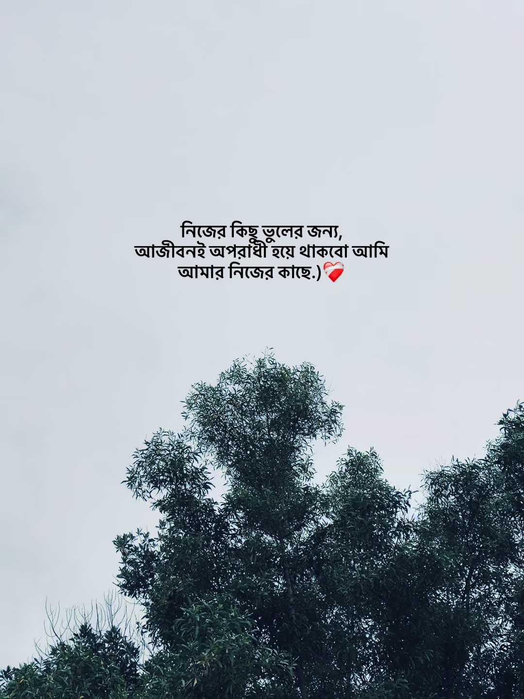 @❏ 𝗔𝗙𝗝𝗔𝗟'🐼