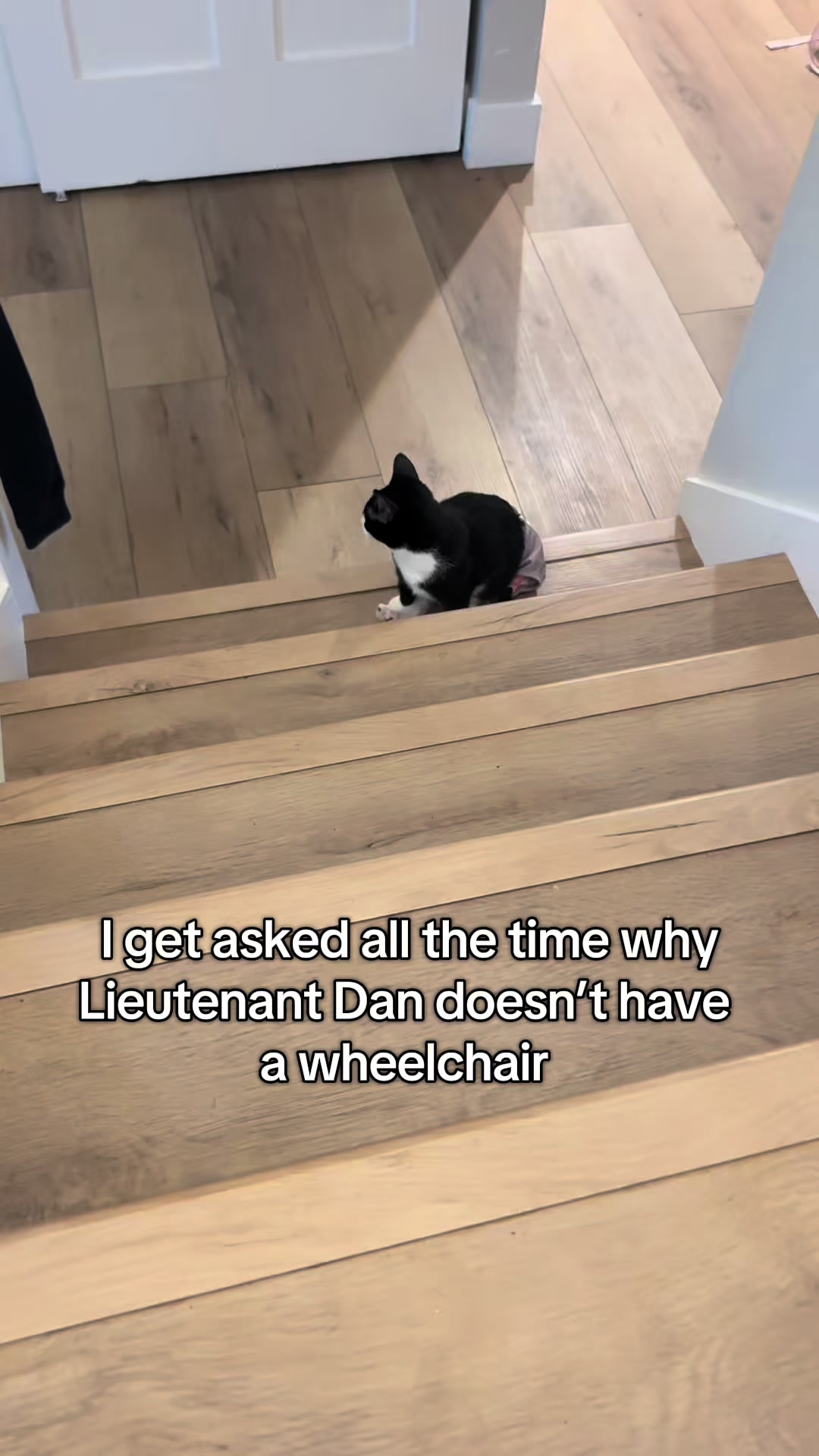 @soccercatmom