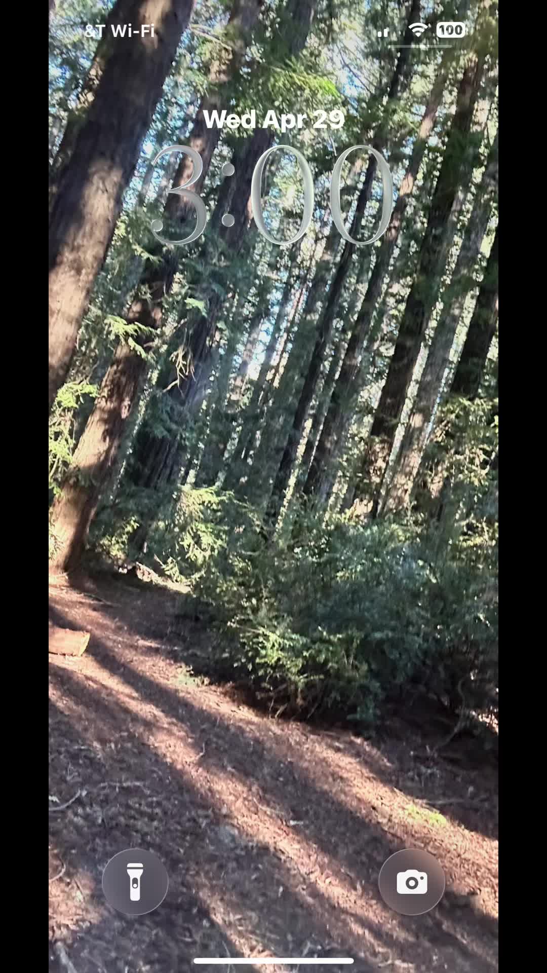 @🌲Forest Friend🌲🙏💗