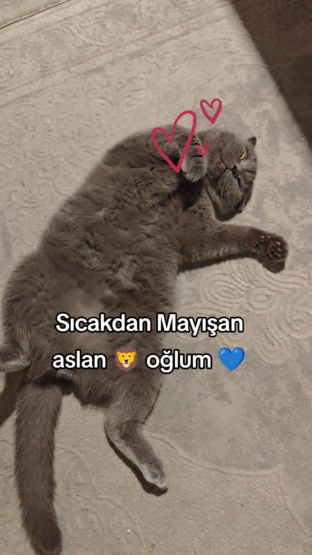 @g&uuml;l_ygt34