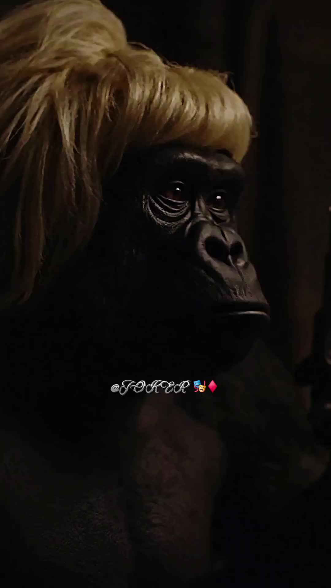@🎭&diams;️𝐉𝐎𝐊𝐄𝐑❸❽🇪🇨ʝӄʀ
