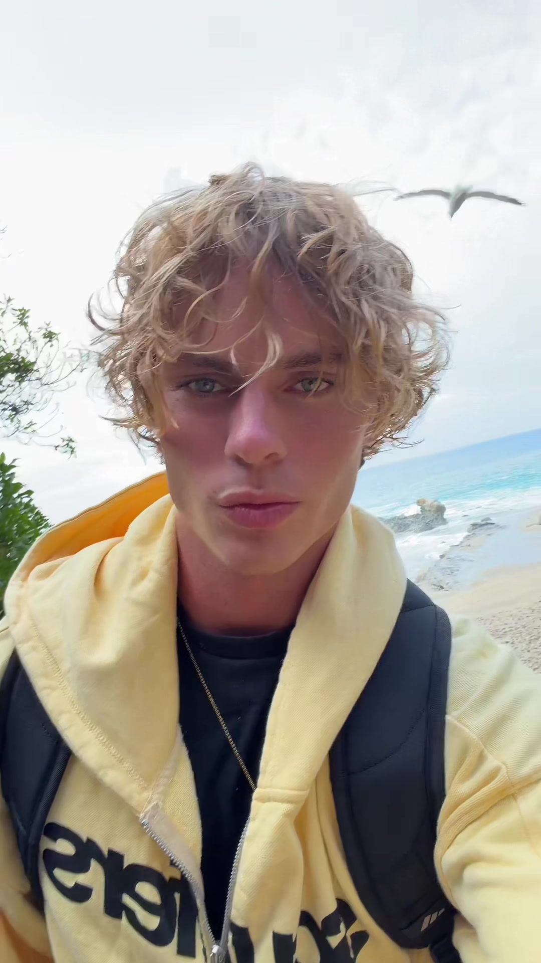 @erik 🌊