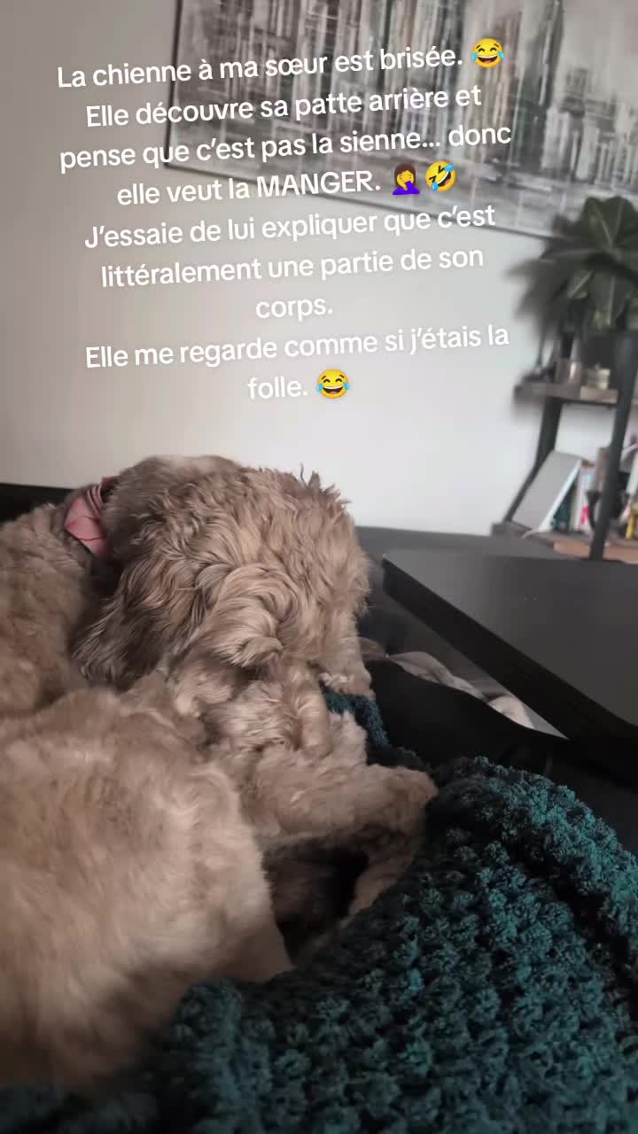@Amy_dusoleildanstajournee