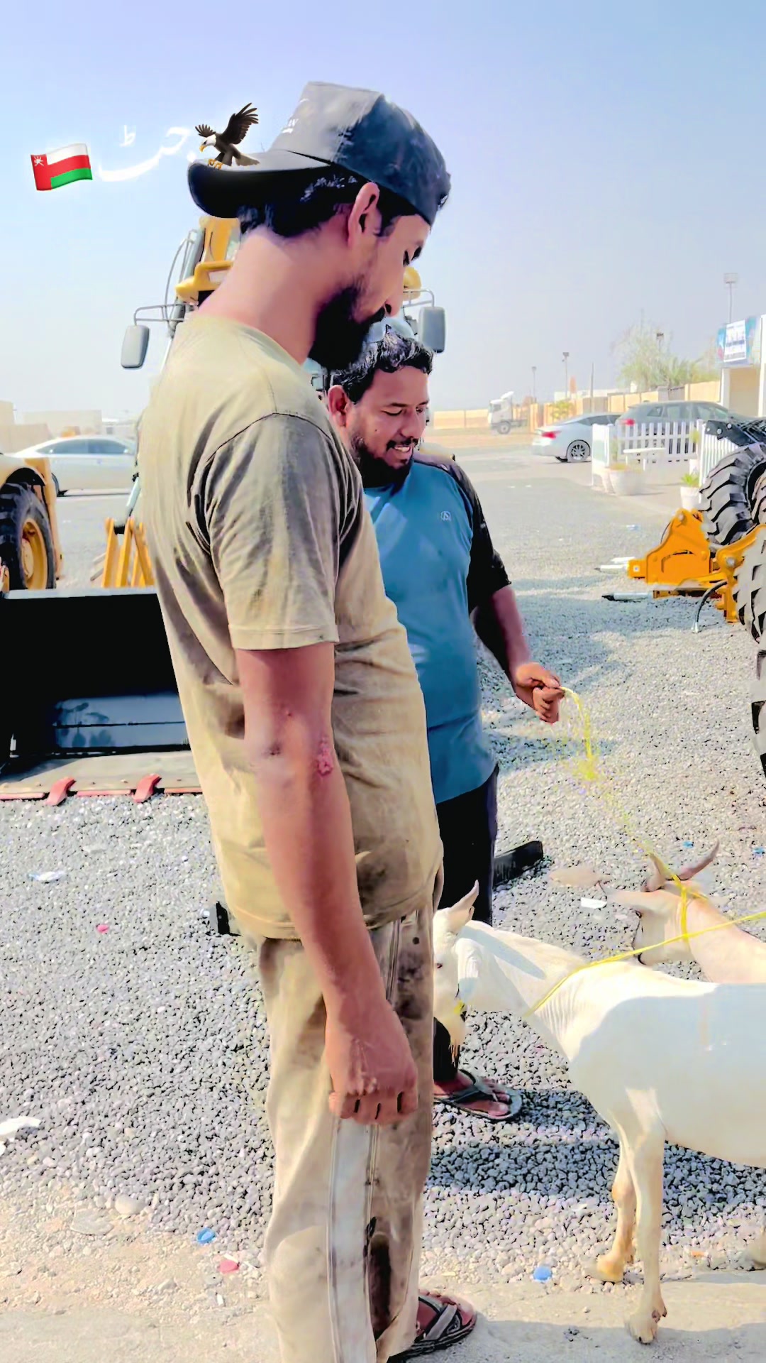 @چوہدری شہباز احمد اوٹھی 🦅