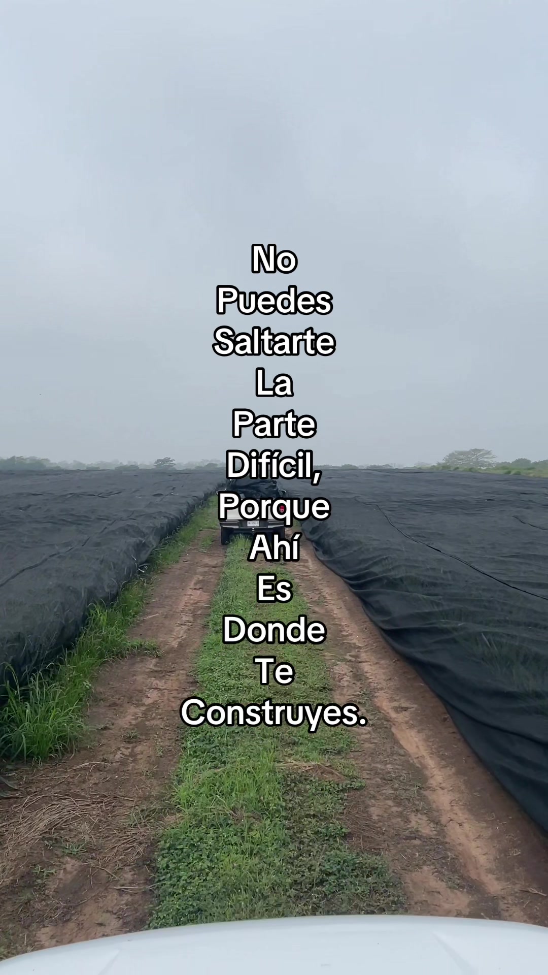 @Sifatec