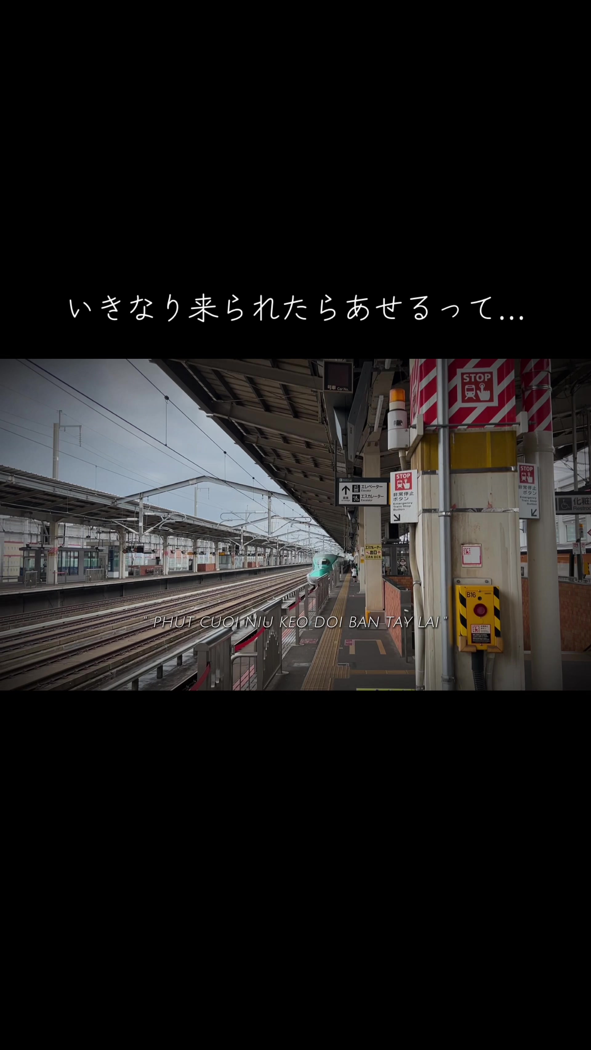 @沼垂 春砥（Haruto Nuttari）