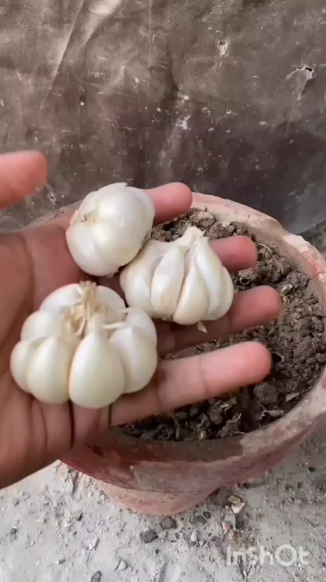 @user20505406424
