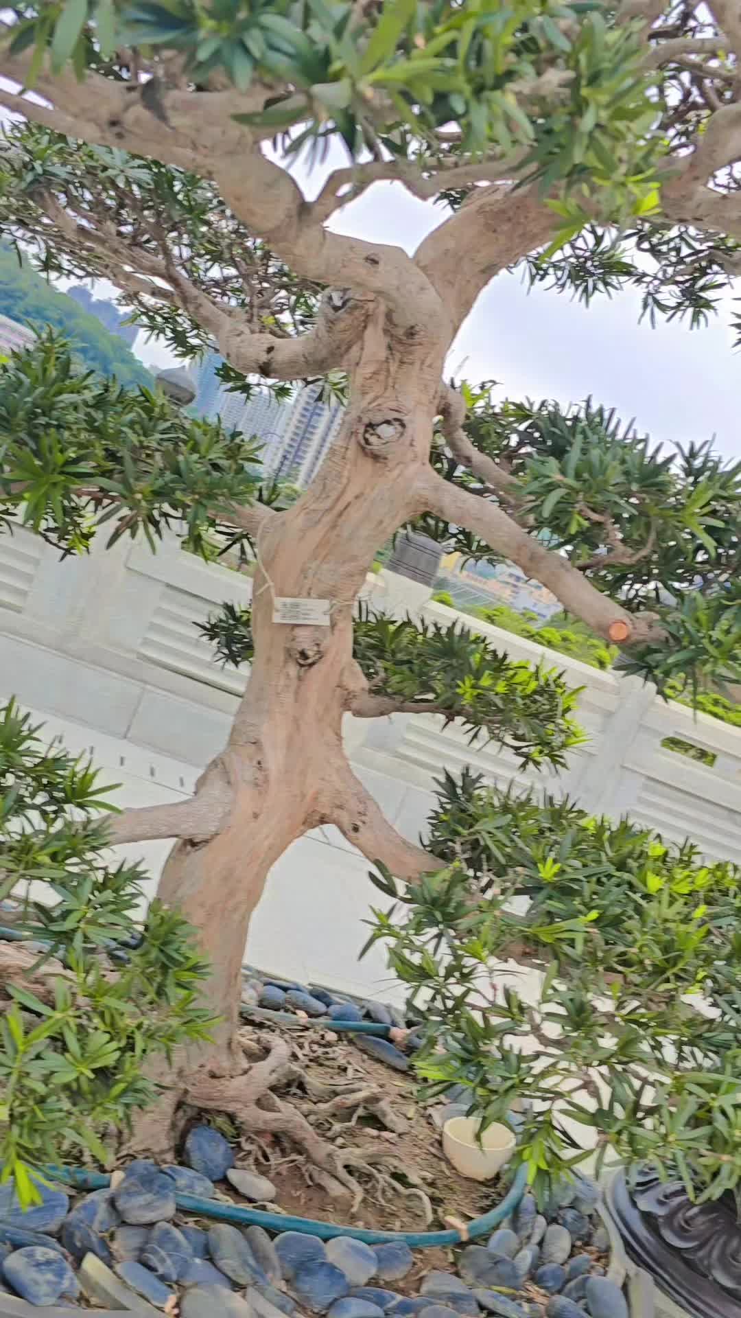 @𝕯𝖊𝖐_𝐍𝖆 &deg;