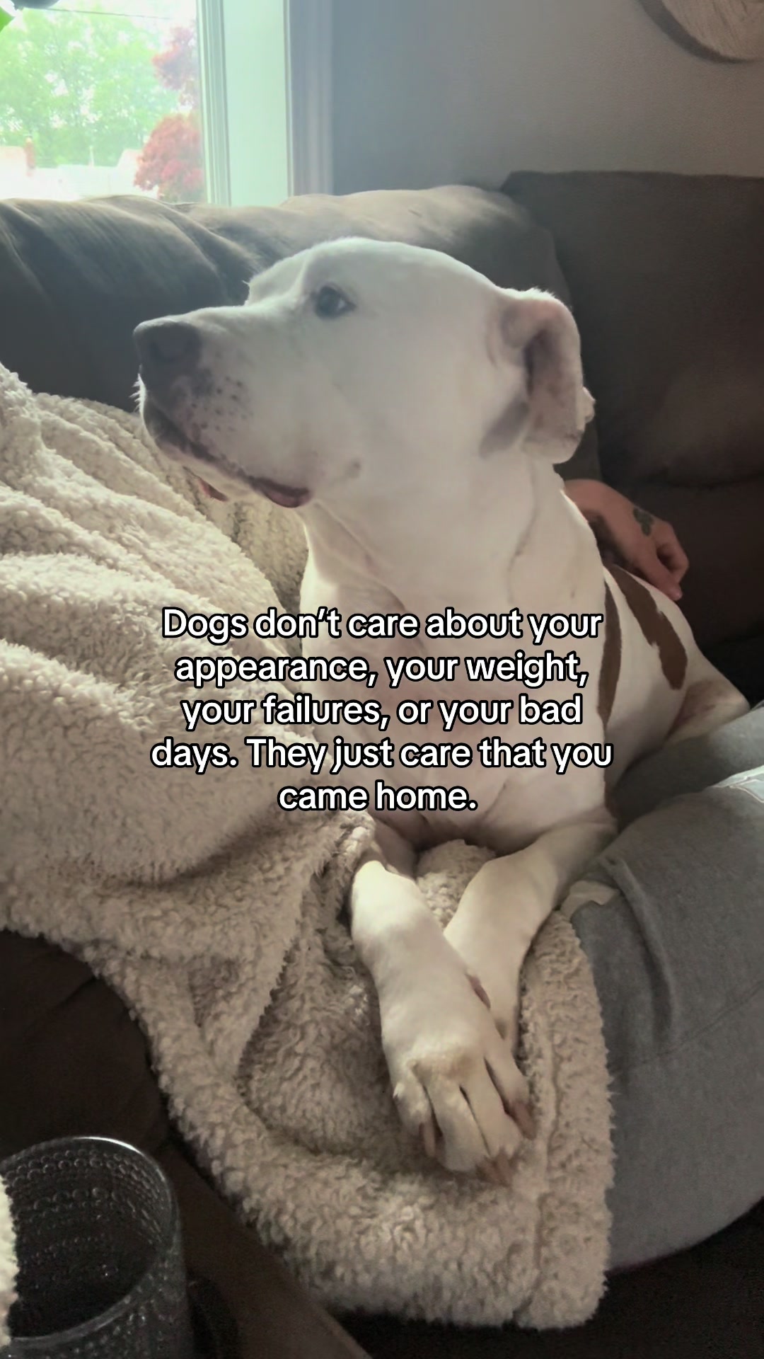 @DIOJI.the.DOG