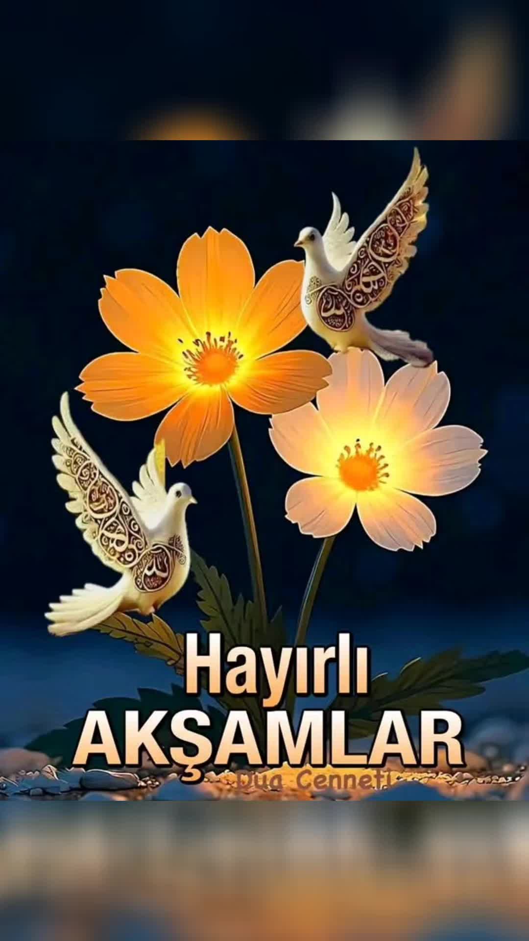 @🌹Hanife🌹