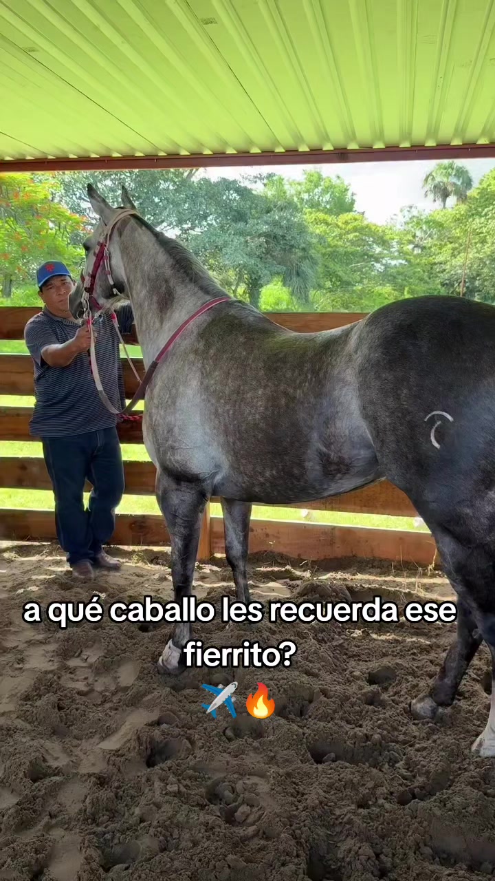 @carriles altos de jalisco🐎