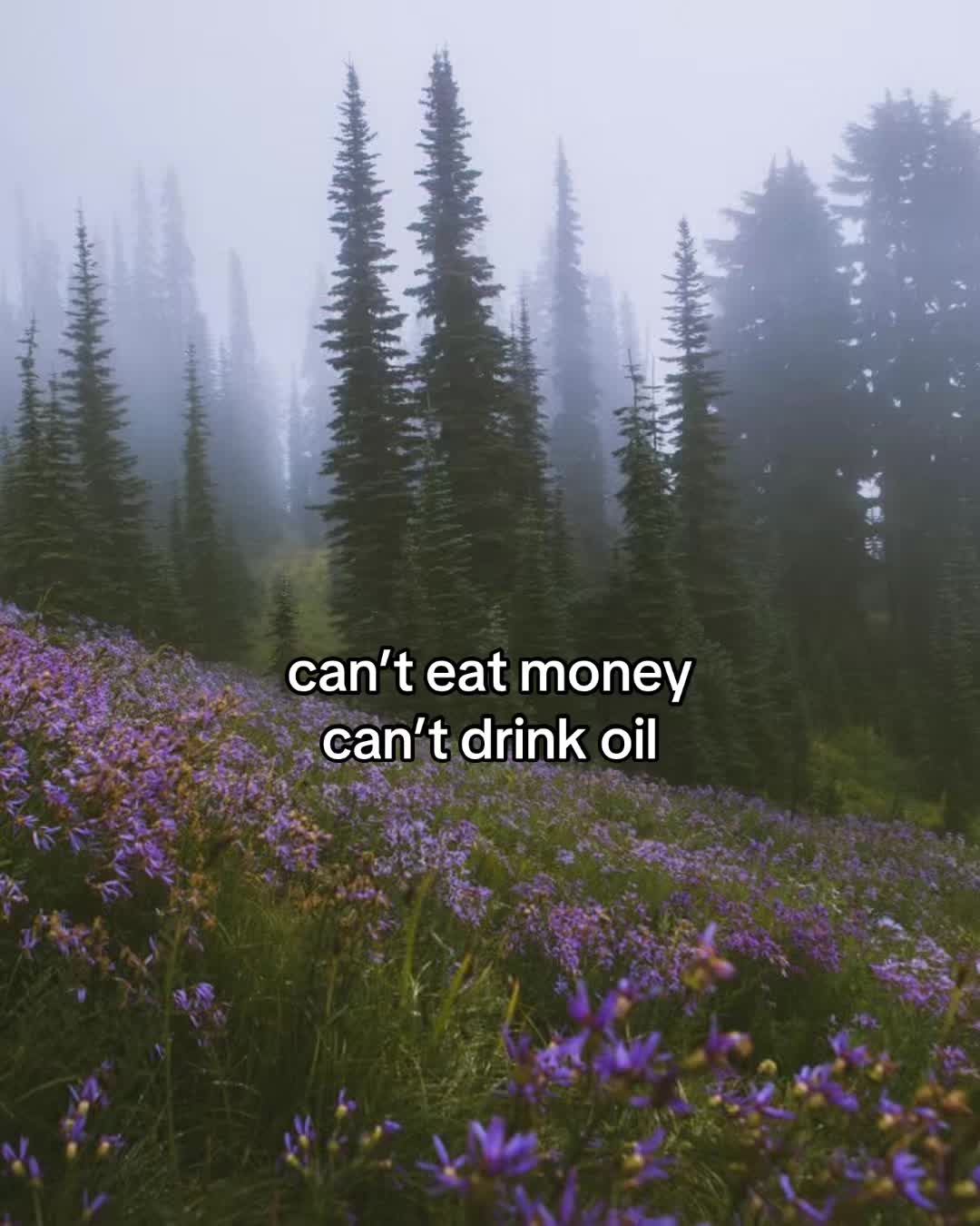 @amaliaplantstrees