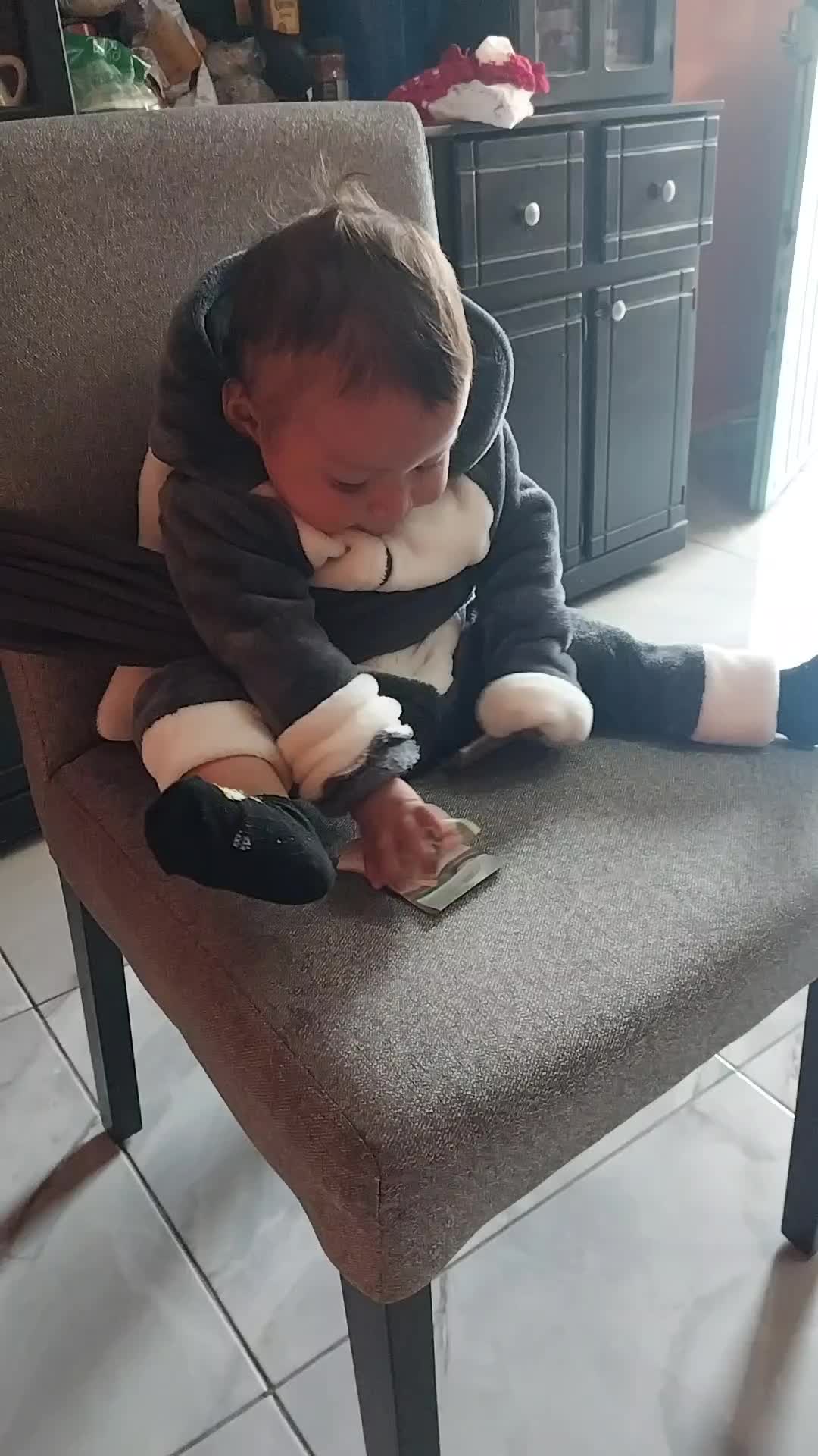 @Axel ALF🦍