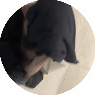 @VILIREY🕊️