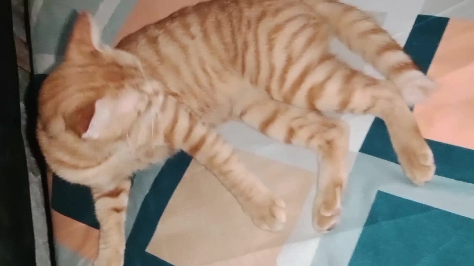 @Namira_Cut3