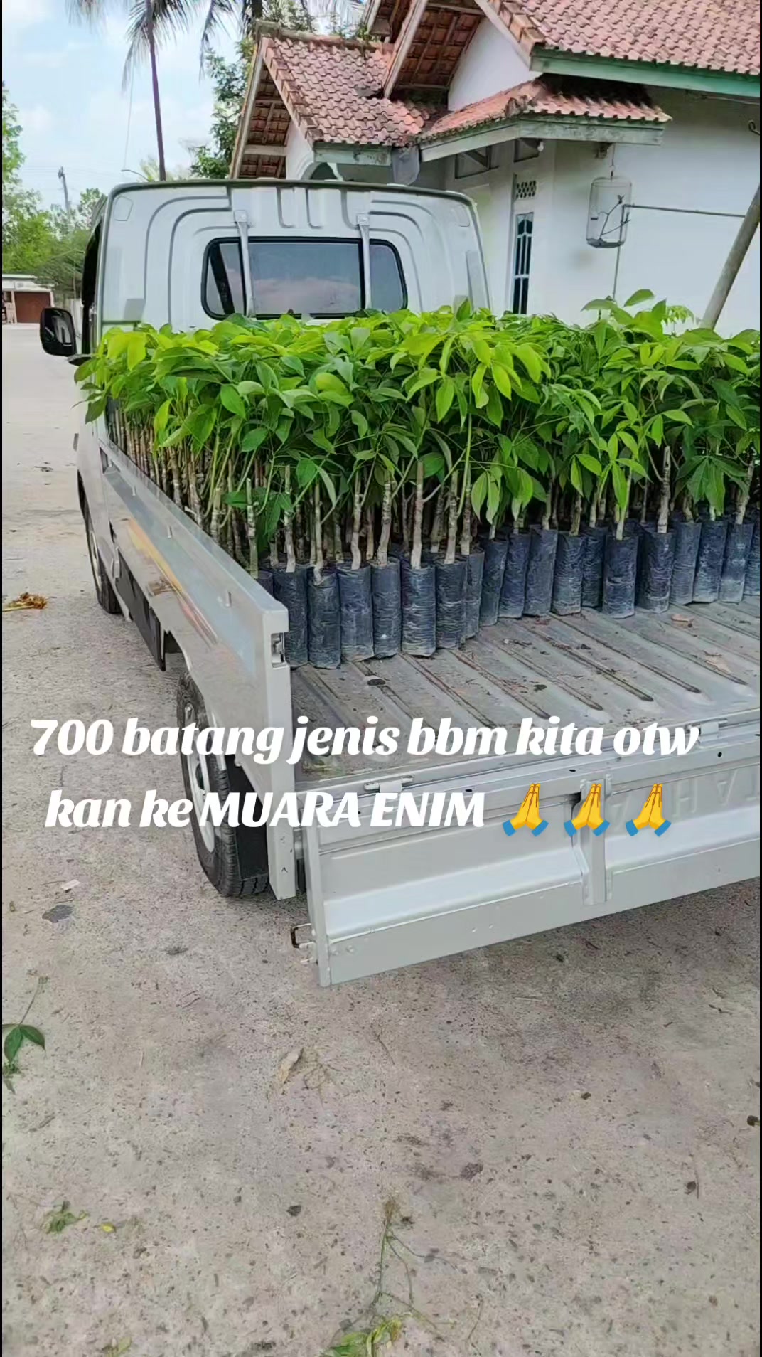 @Usman Iswanto