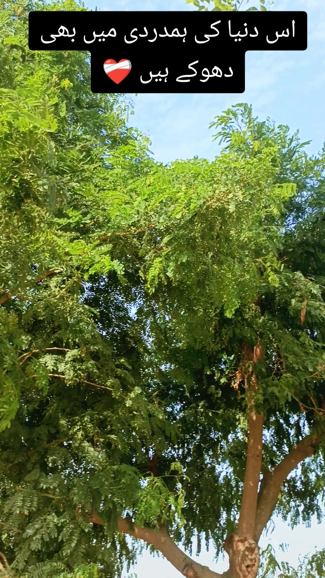 @NajmaHanif