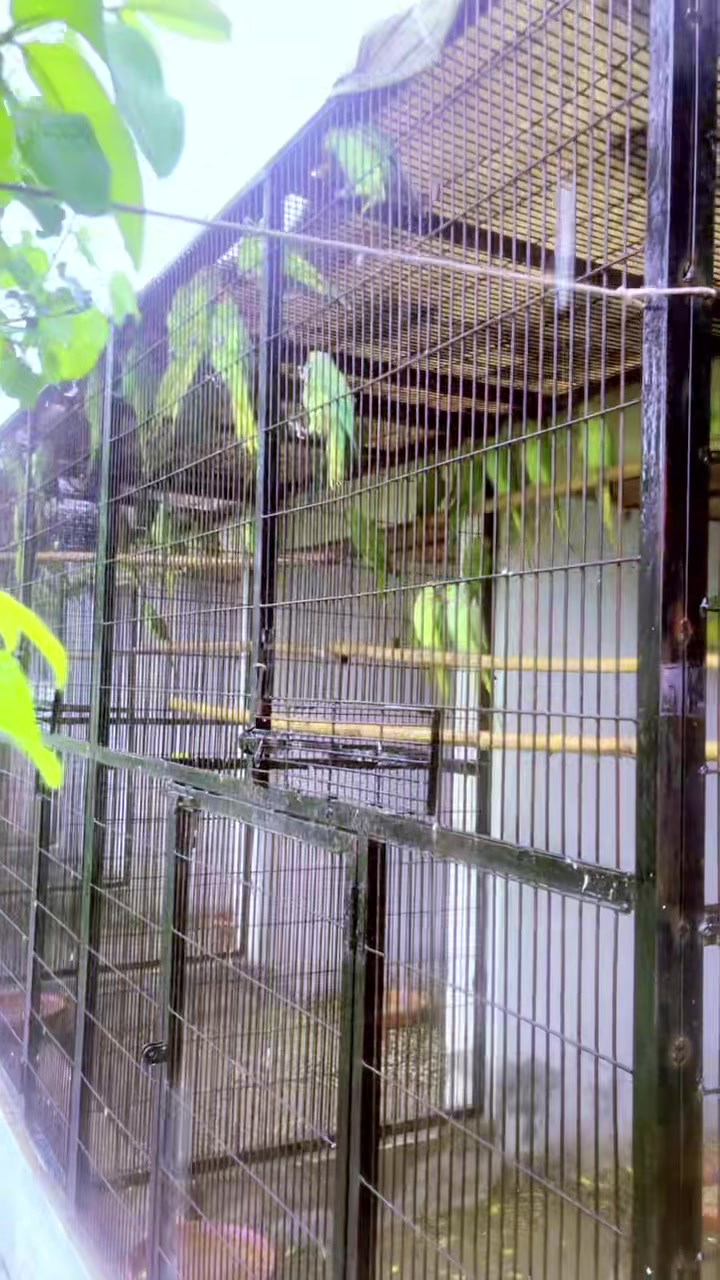 @WA Aviary