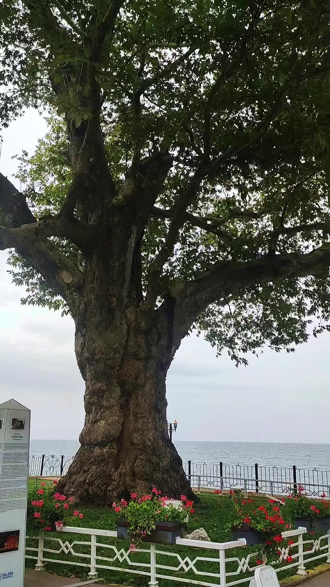 @Droneçekimigebze