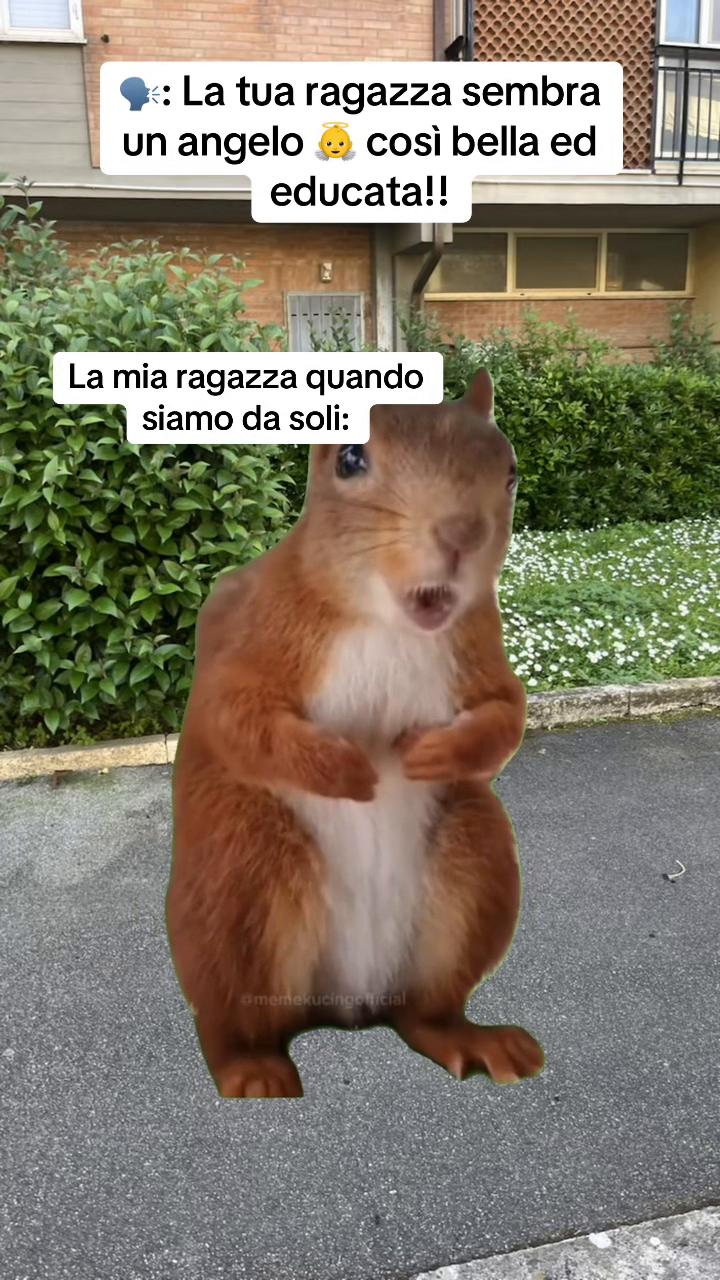 @LOLSempre😜😜