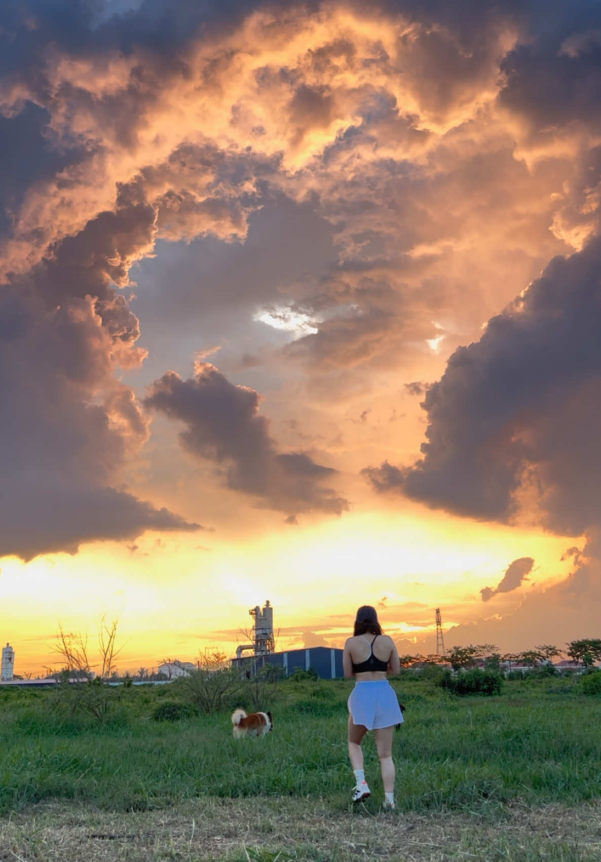 @𝓃𝒶𝓃𝒶
