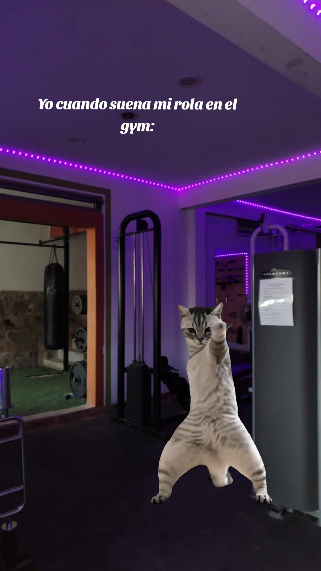 @Azteca Gym Los Cabos