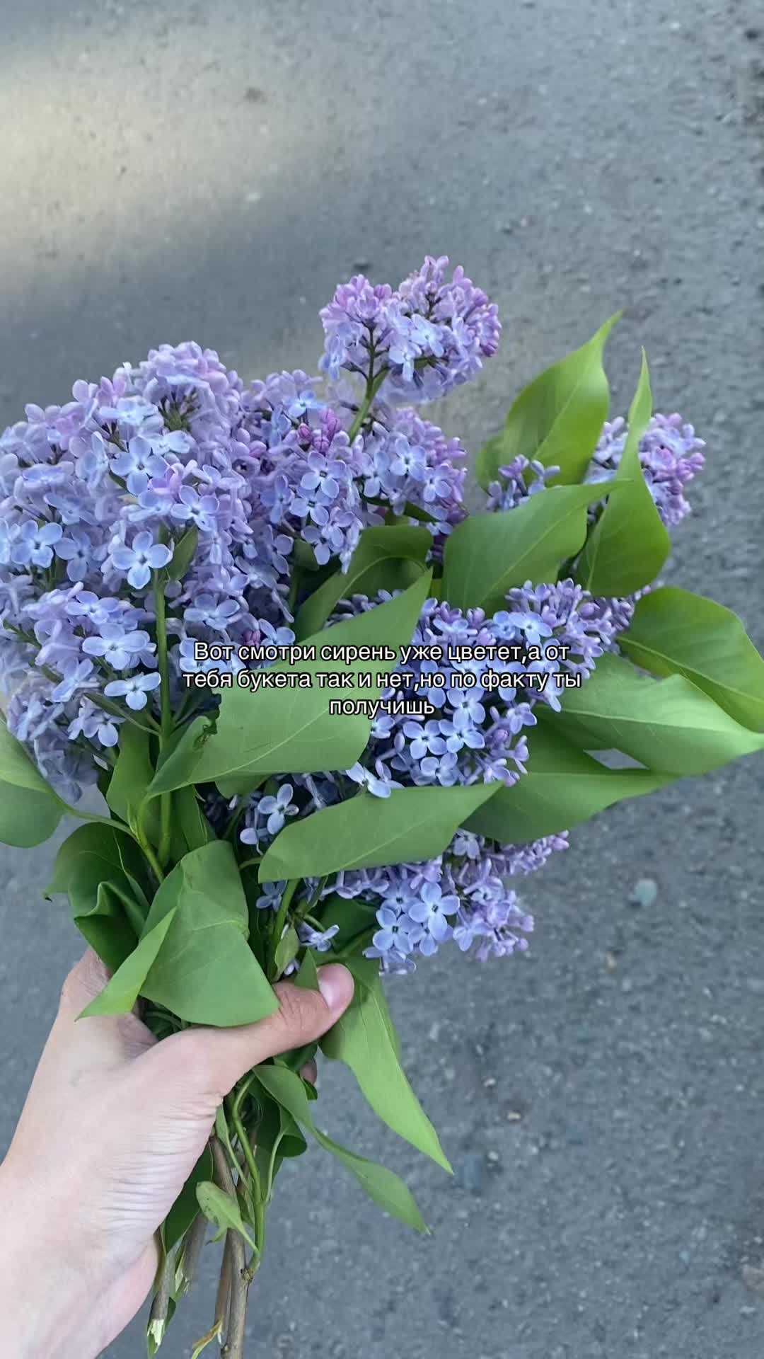 @ТГК:Арка драйв 🎰