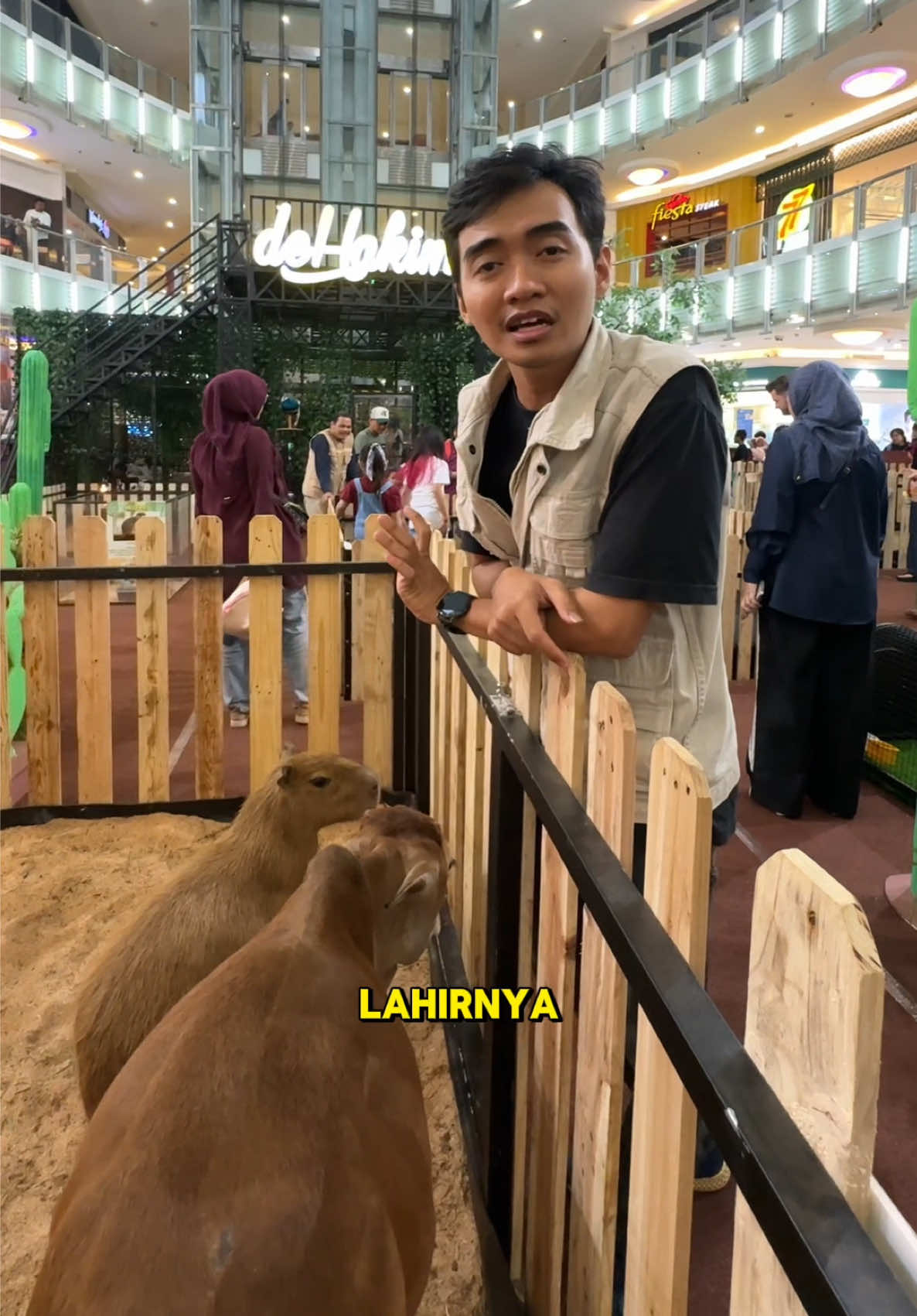 @IRFANHAKIM75