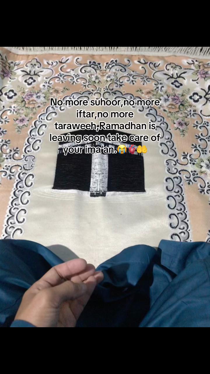 @Serad46