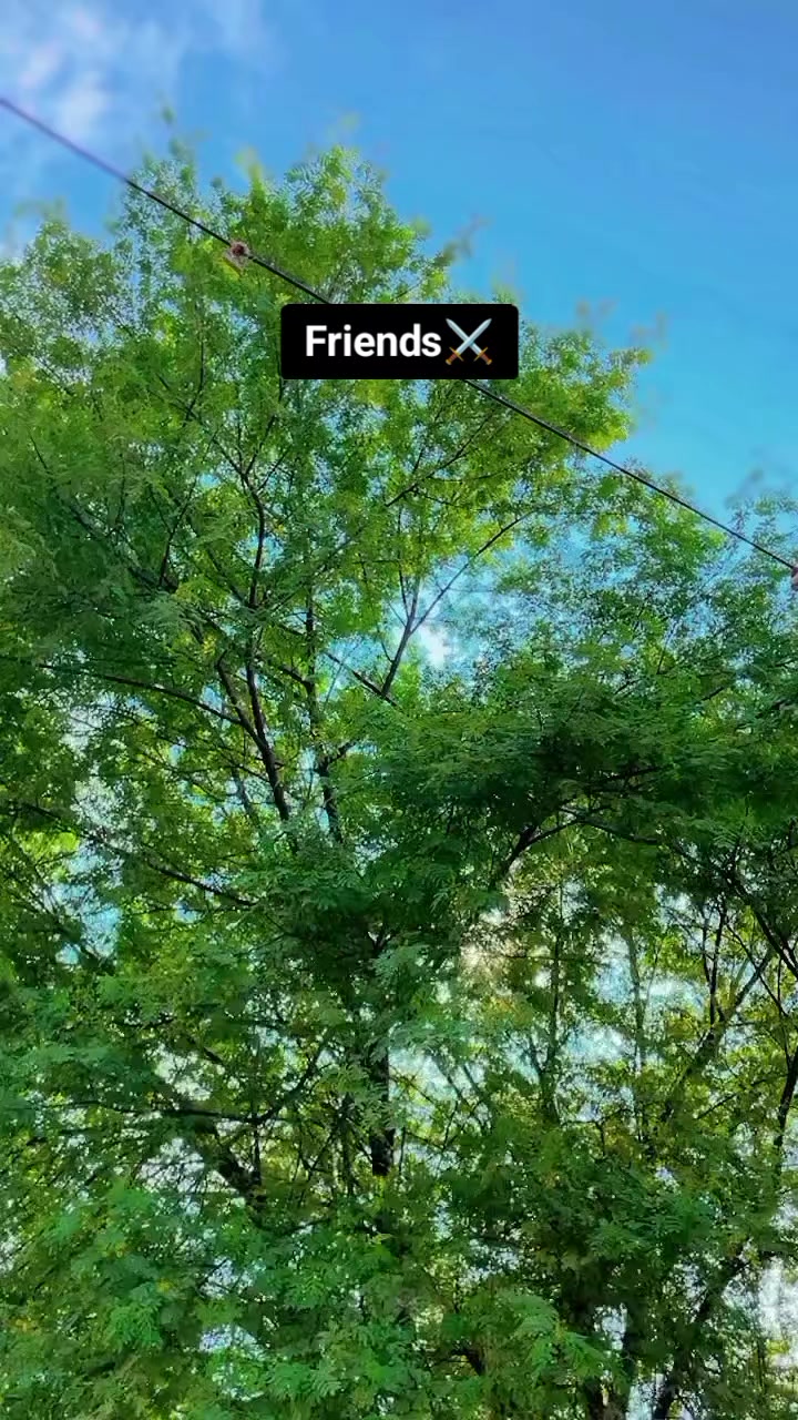 @MA LA NG