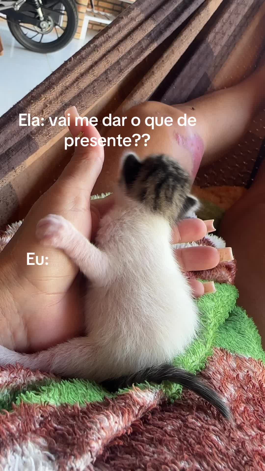 @Neide Costa