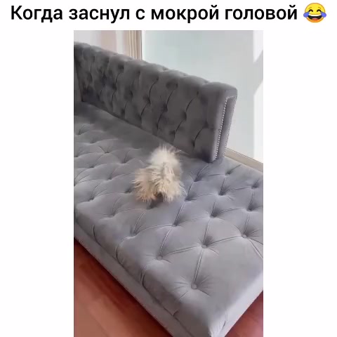 @Dima Marvin ☑️