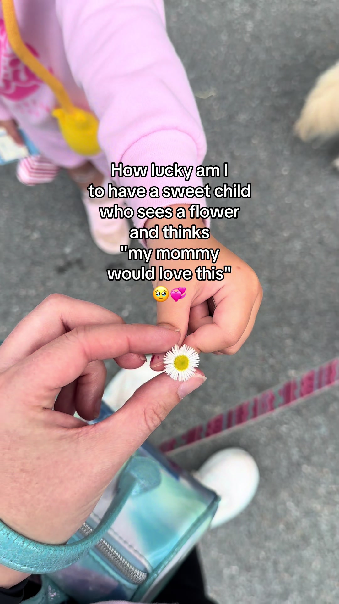 @the.rad.teacher