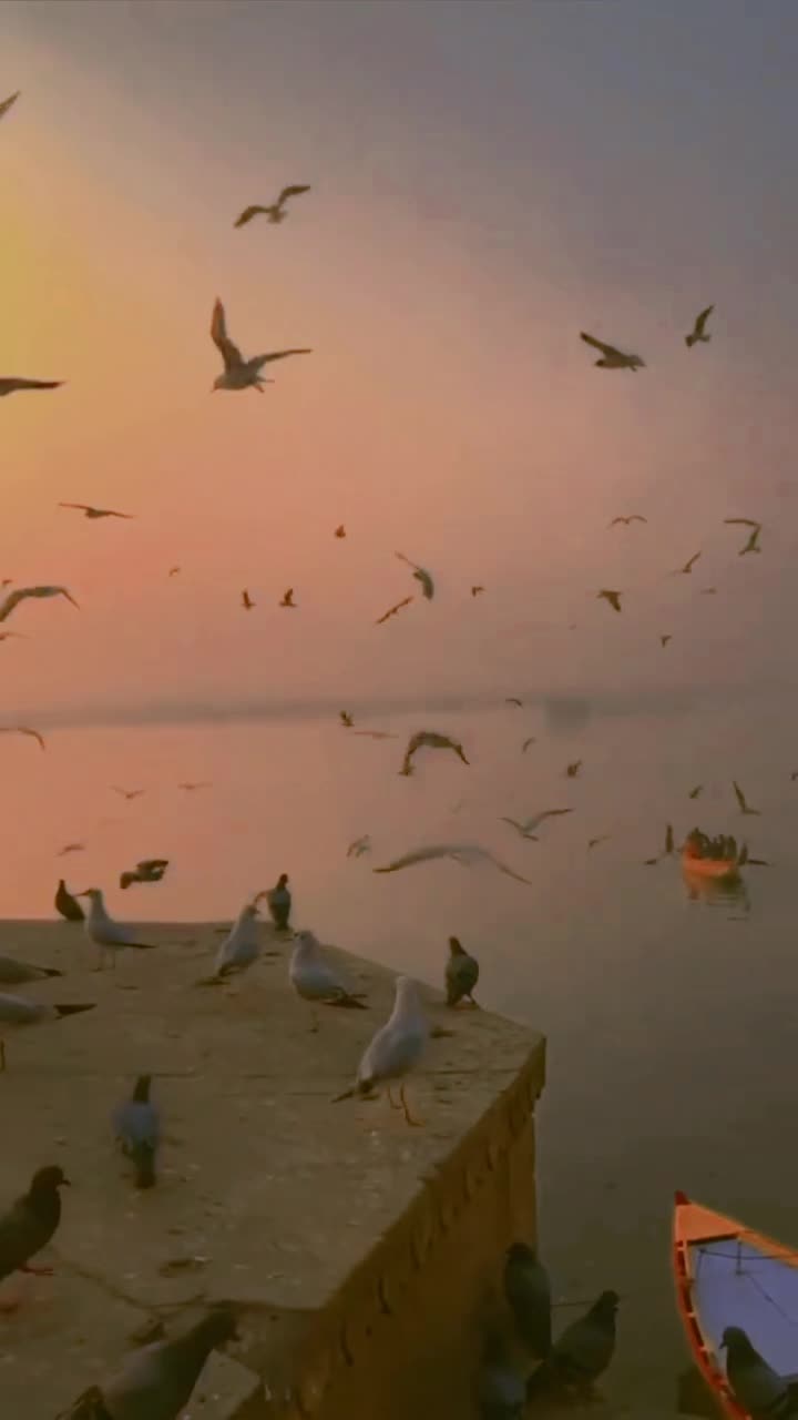 @Bint.e.Mansoori