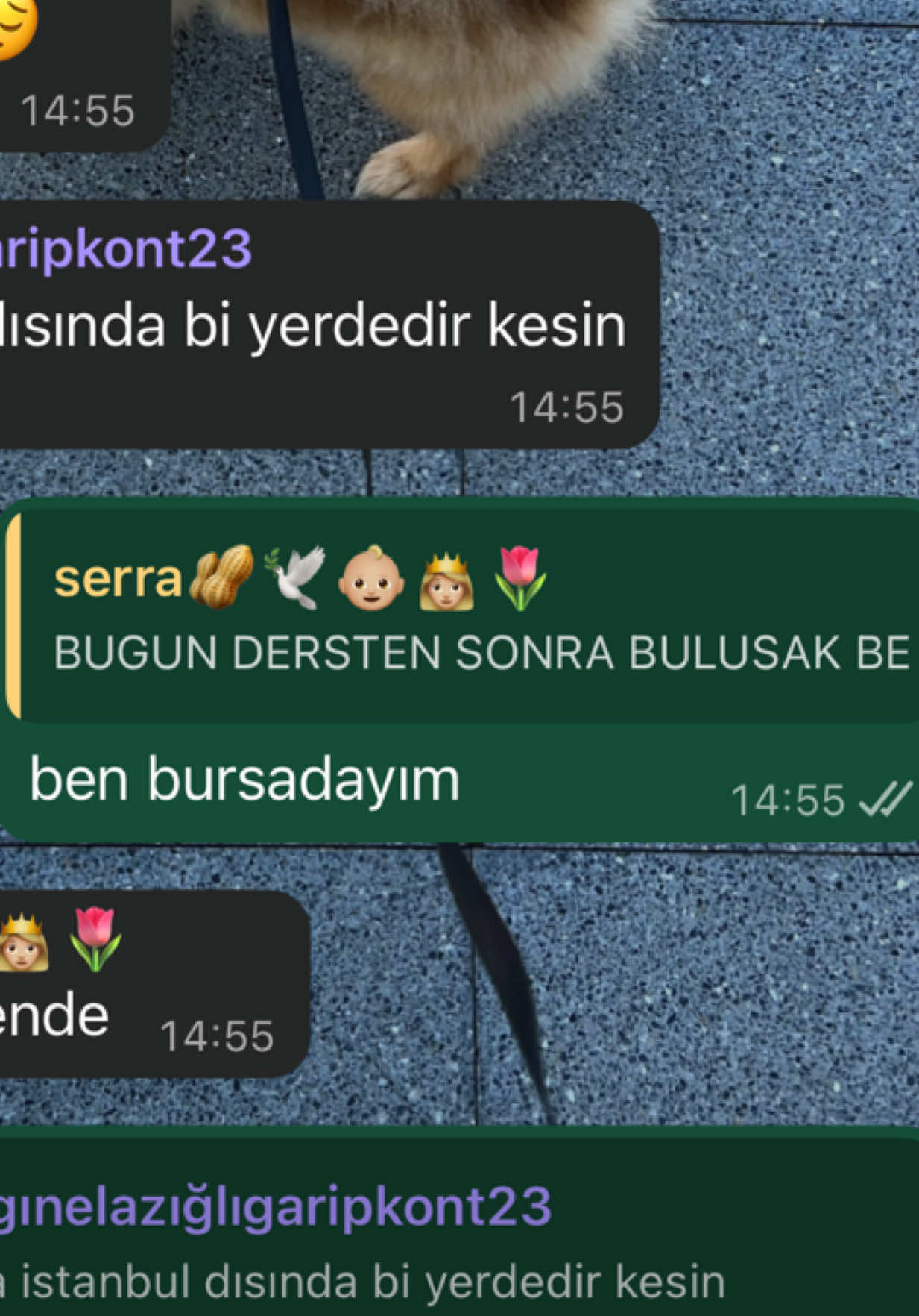 @xKralTR