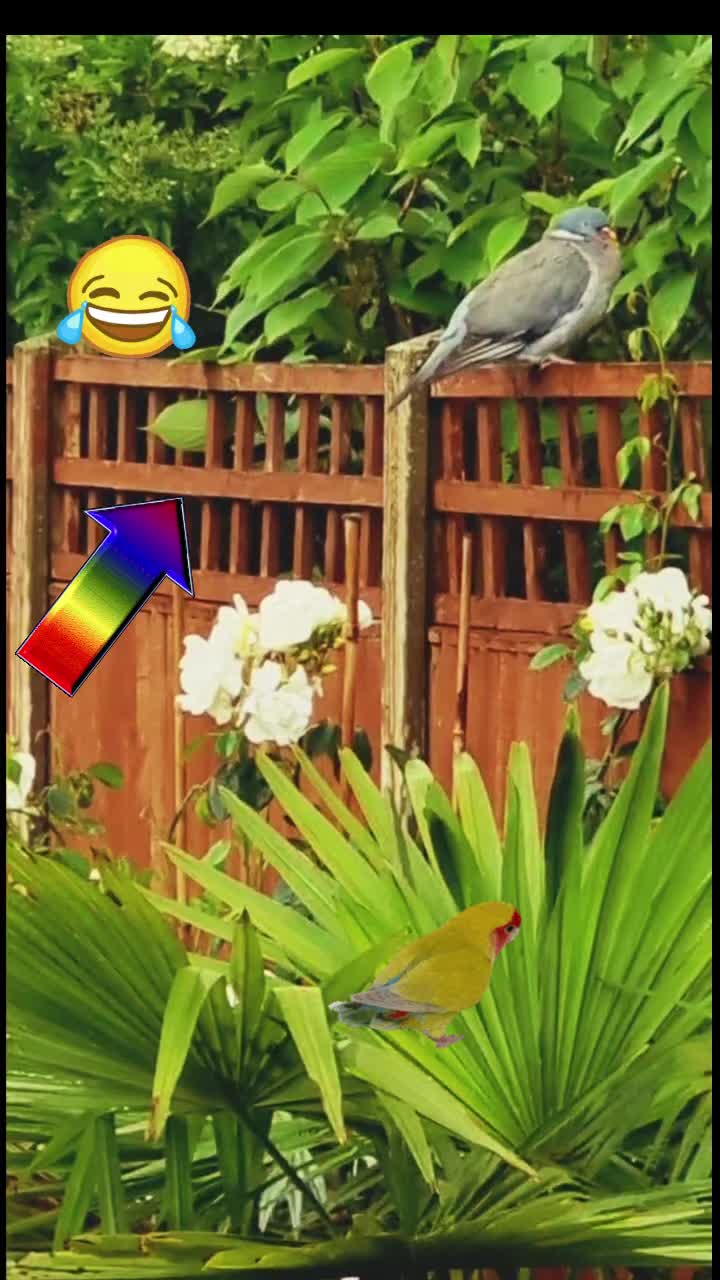 @Zubi🙋♀️زوبی