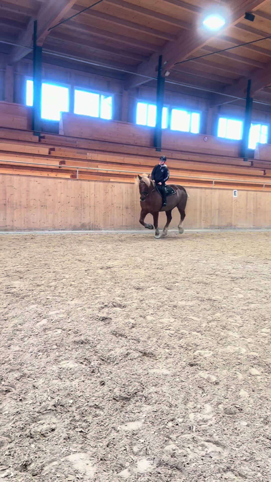 @_.coldblood.dressage_