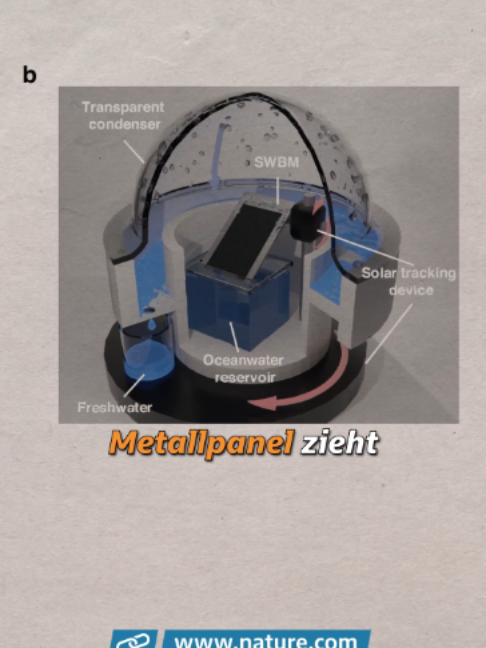 @Niklas Kolorz
