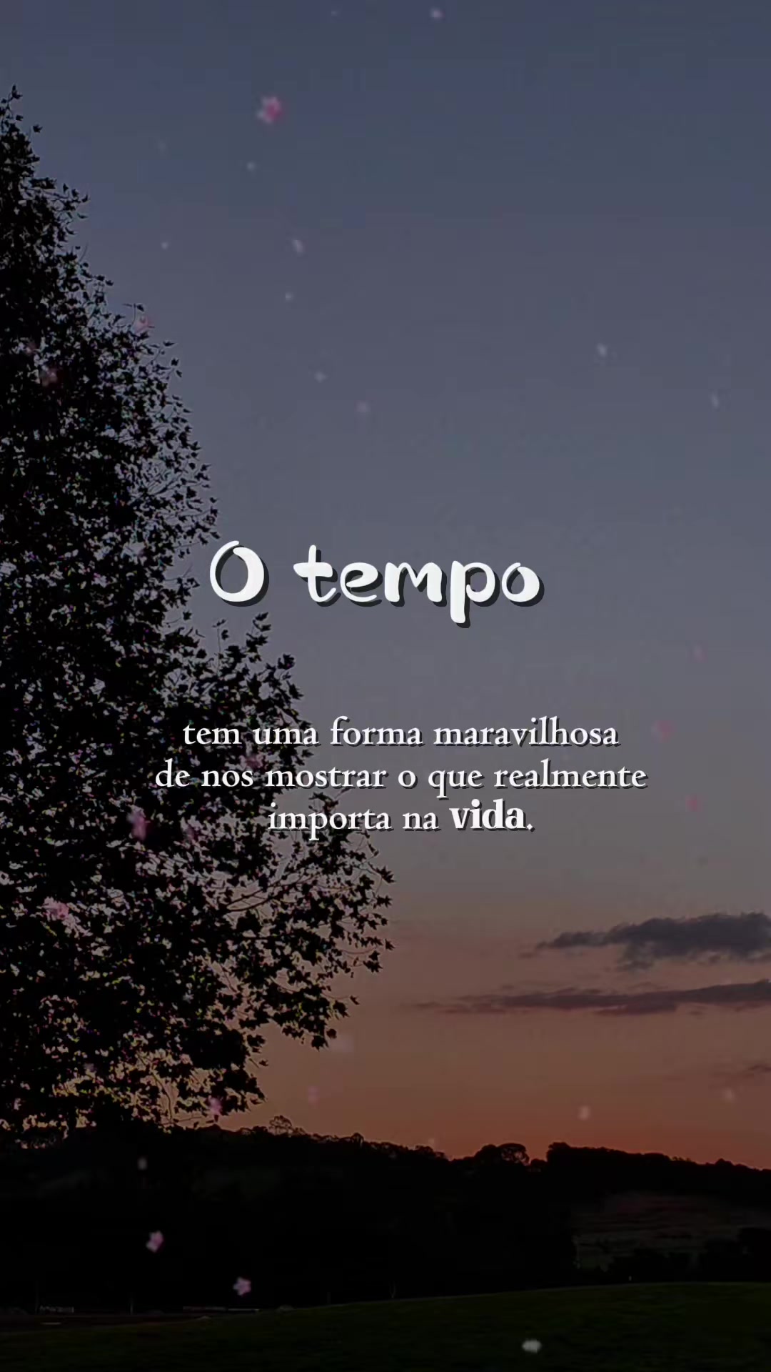 @@frases.que.coleciono❤️