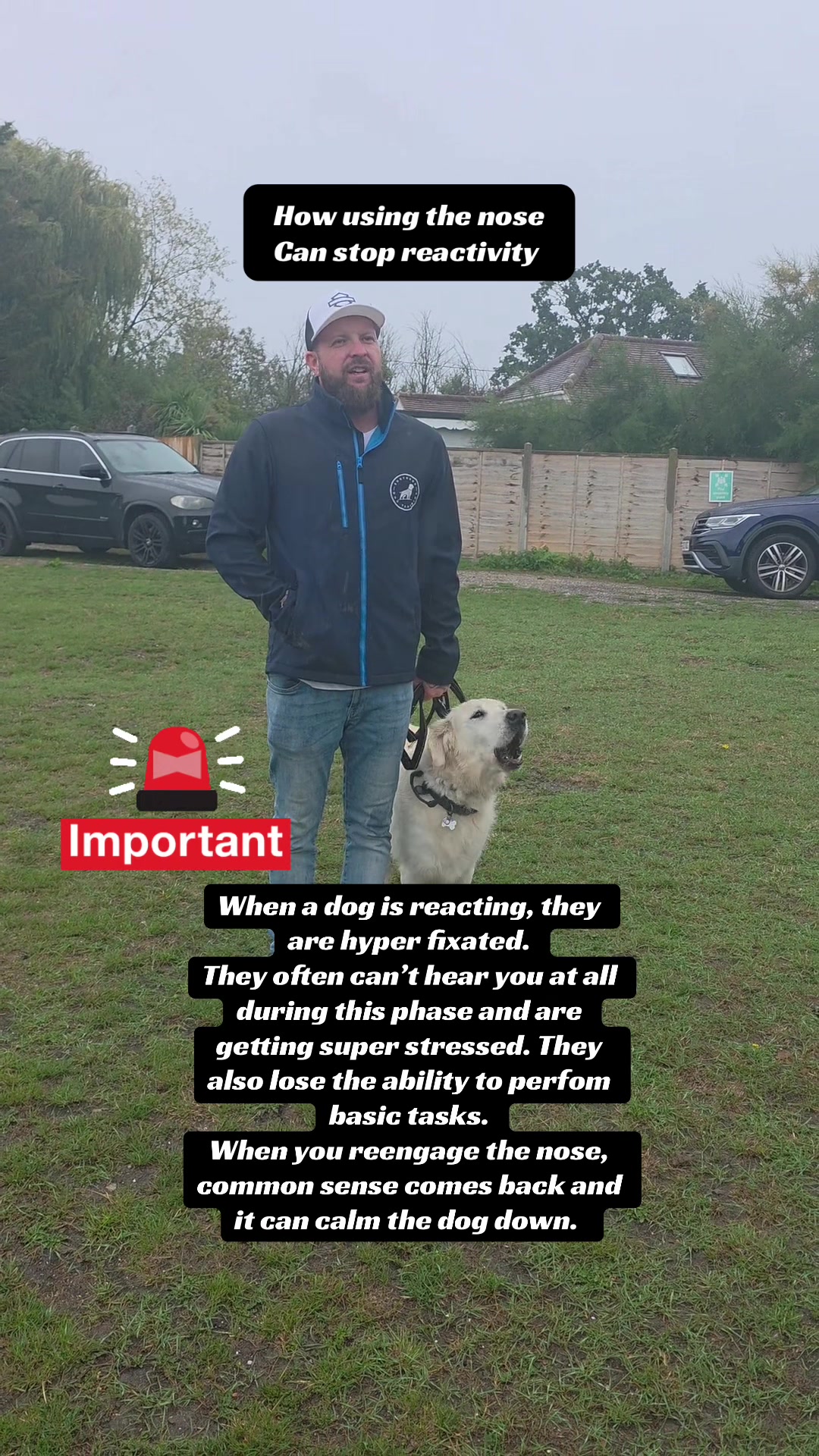 @SouthendDogTraining