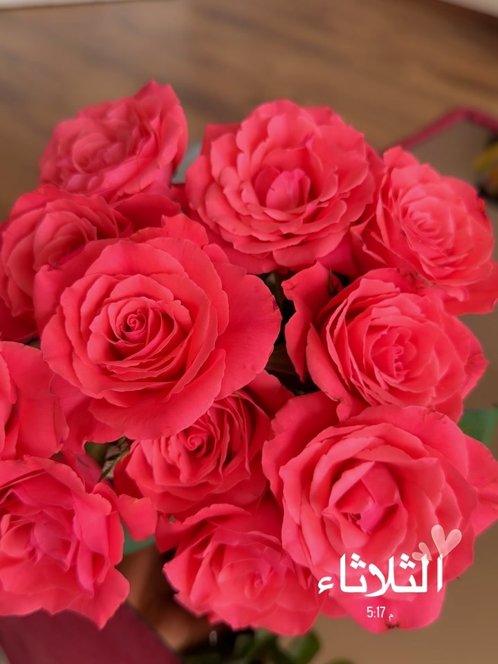 @كردية وافتخر❤️S